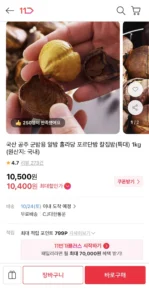 국내산 공주 칼집밤 1kg