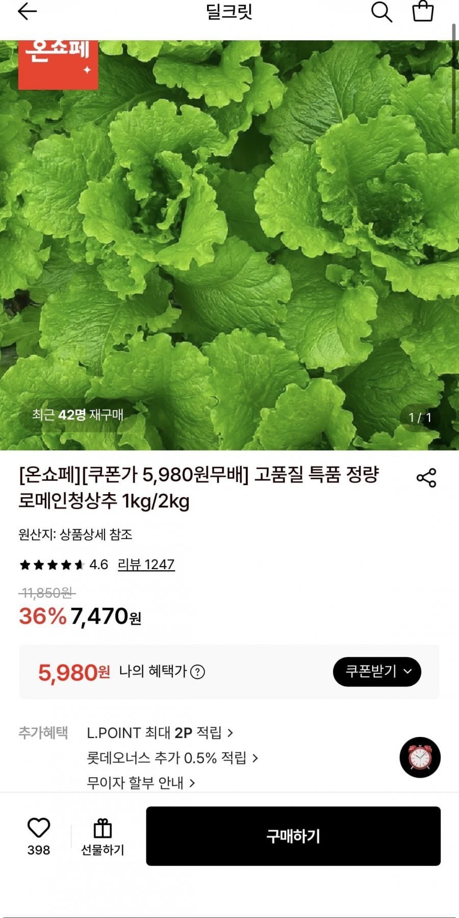 고품질 특품 정량 로메인청상추 1kg