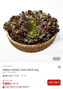 국내산 꽃상추 2kg