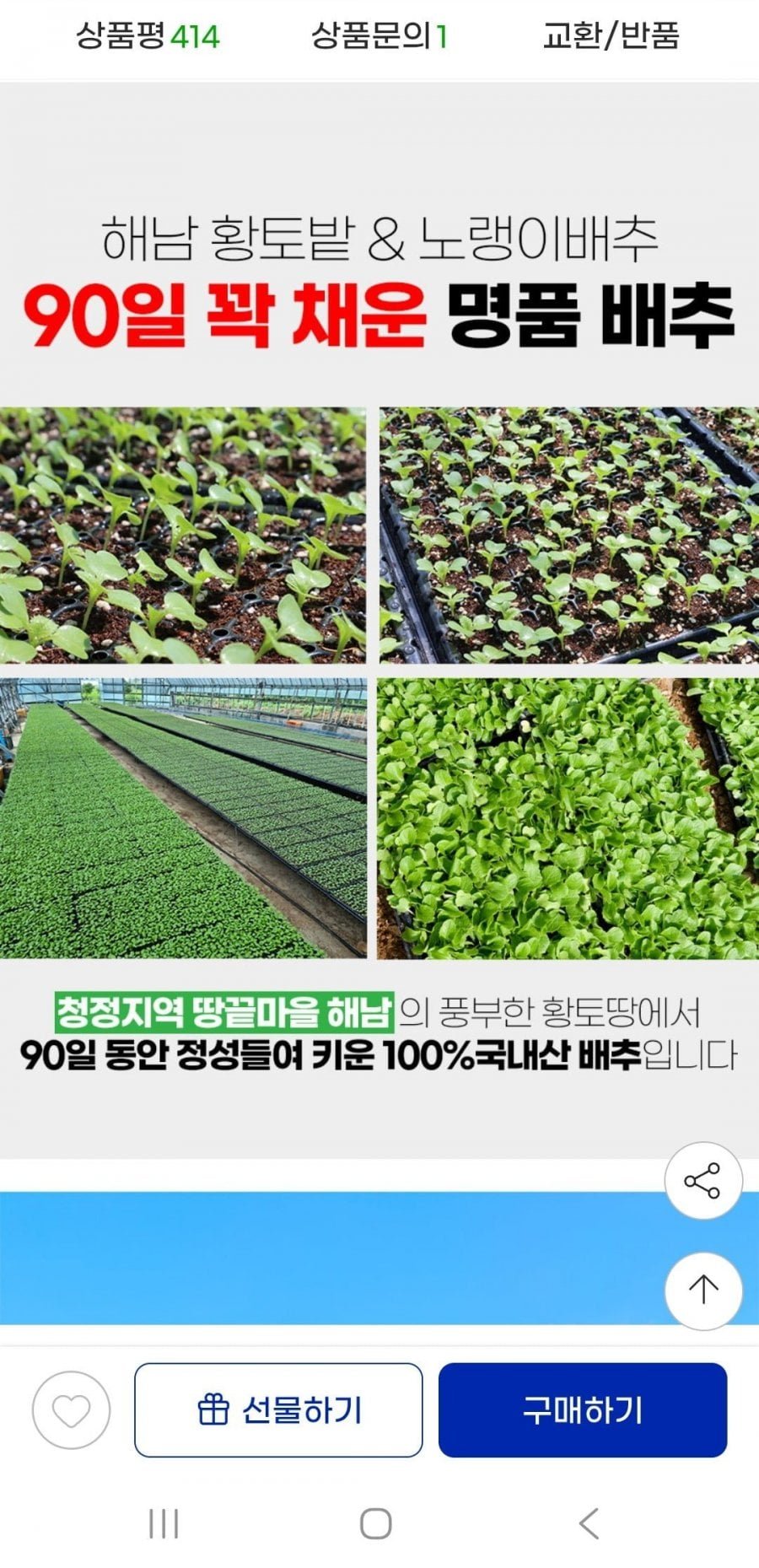 해남절임배추 20kg 예약배송
