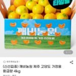 제주 고당도 황금향 4kg