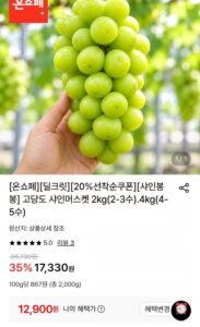고당도 샤인머스켓 2kg(2-3수)