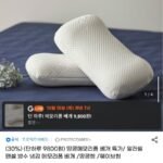 알러쉴 텐셀 방수 땅콩 메모리폼 베개 더 낮은형