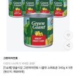 그린자이언트 니블렛 스위트콘 340g X 5캔
