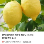 팬시 레몬 20과