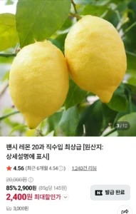 팬시 레몬 20과