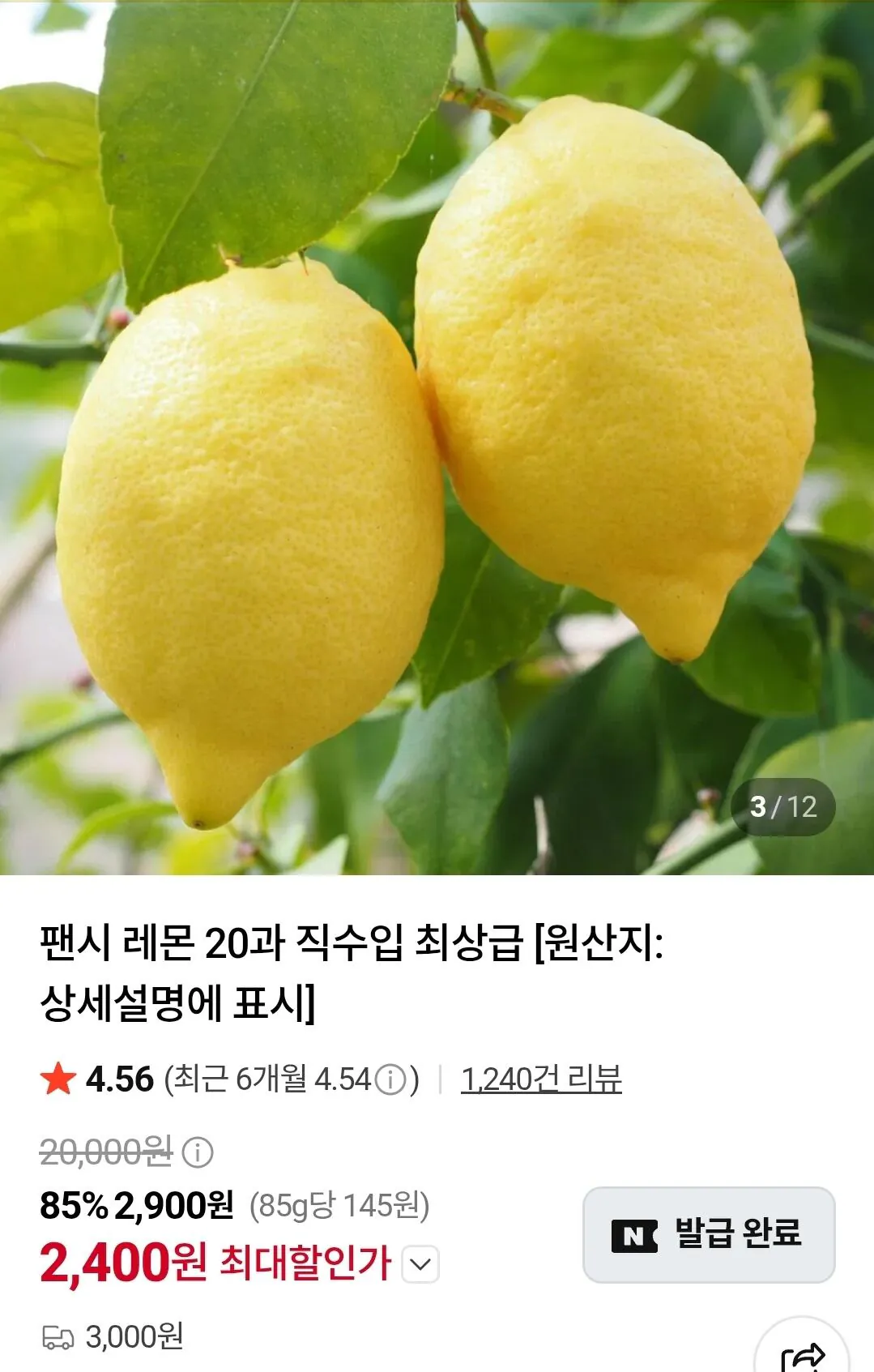 팬시 레몬 20과