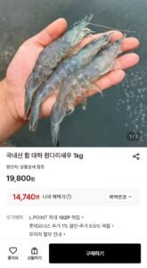 국내산 활 대하 흰다리새우 1kg 35미 내외