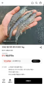 국내산 활 대하 흰다리새우 1kg (17,370원 / 무배)