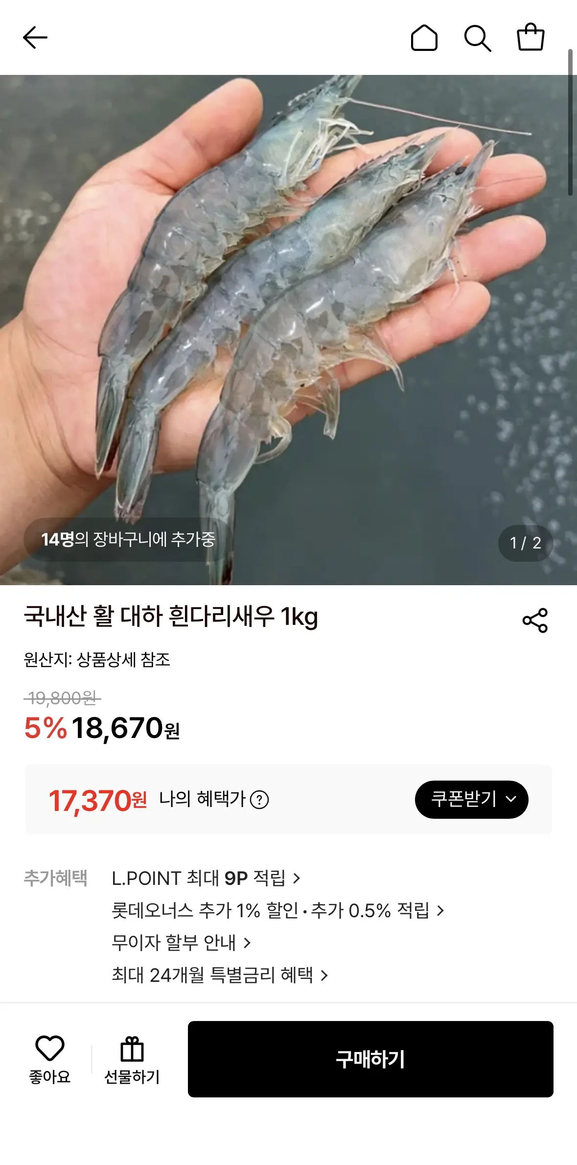 국내산 활 대하 흰다리새우 1kg