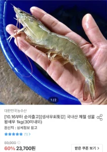 국내산 제철 생물 왕새우 1kg(30미내외)