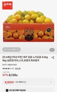 제주 노지감귤 4.5kg 대과
