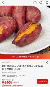 호풍미 호박고구마 5kg