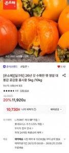 26년 갓 수확한 햇 영암 대봉감 5kg