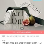 온다숲 힐링 고체 탈취제 330g 2개