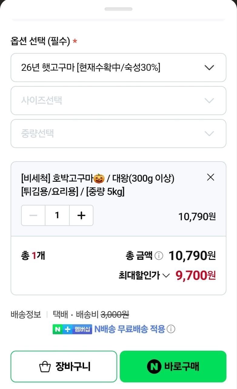 영암 호박고구마 5kg 대