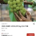 샤인머스켓 2kg 고당도 특품 2수