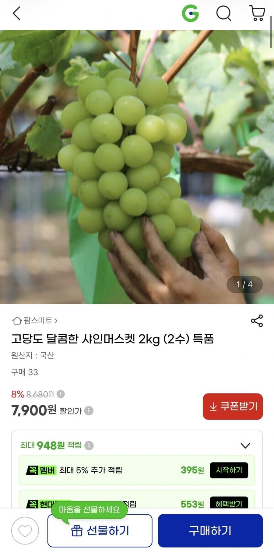 샤인머스켓 2kg 고당도 특품 2수