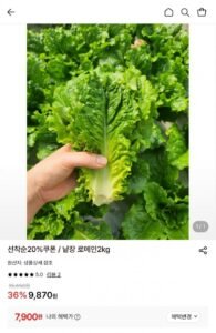 국내산 산지직송 낱장 로메인 2kg