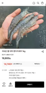국내산 활 대하 흰다리새우 1kg (14,740원 / 무배)