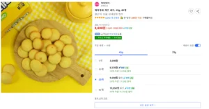 해태제과 계란 과자, 45g, 20개