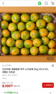 제주 노지감귤 3kg