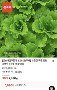 정량 로메인청상추 1kg