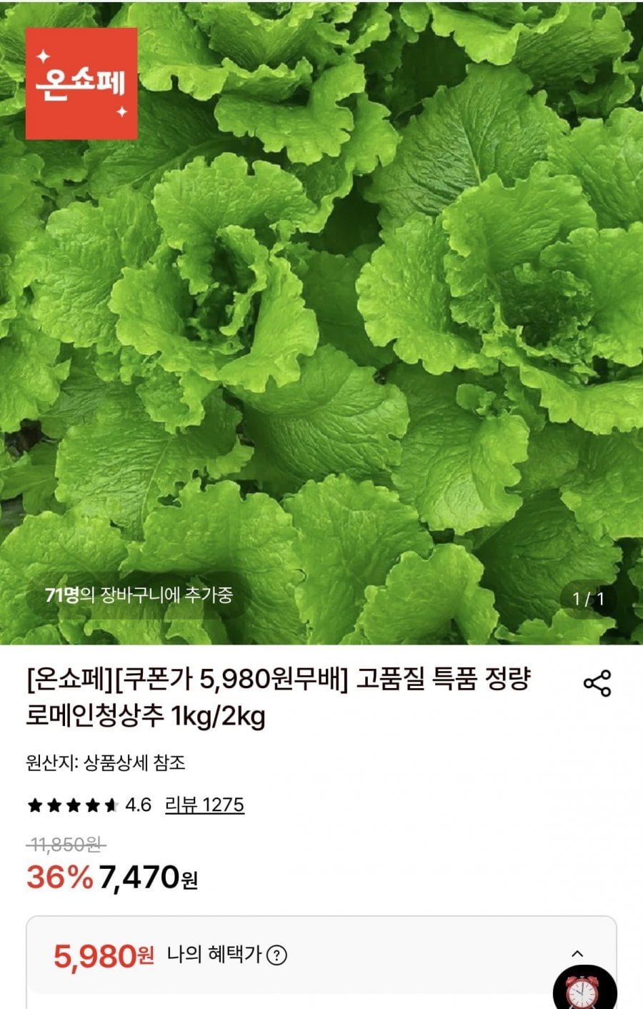 정량 로메인청상추 1kg