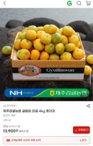 제주감귤농협 귤림원 감귤 4kg 중대과
