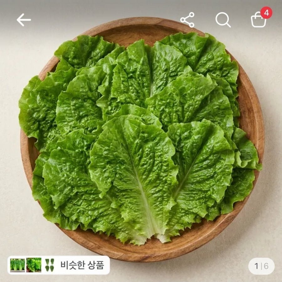 청상추 2kg