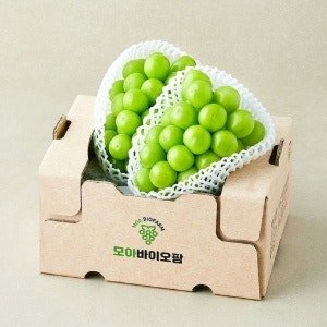 모아바이오팜 당도선별 샤인머스캣, 1kg (1kg x 1개)