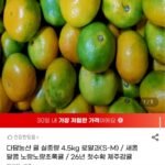 제주감귤 로얄과 S-M 4.5kg