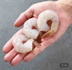 칵테일 새우 대 900g 55-70미