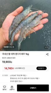 국산 활 흰다리새우 1kg 35미 내외