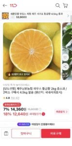 제주남원농협 하우스 황금향 2kg