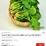 26년 첫 출하 남해 보물초 시금치 1kg