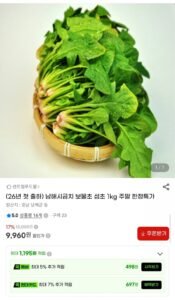 26년 첫 출하 남해 보물초 시금치 1kg