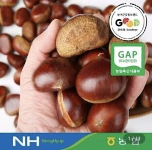 지마켓]26년 부여 밤 햇 알밤1kg(특사이즈) GAP