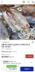 생물 무늬오징어 1kg (4-6미) 선착순특가