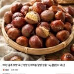 26년 공주 햇밤 국산 생밤 1kg