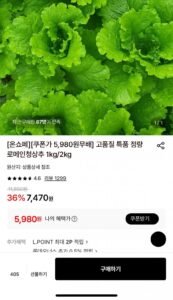 정량 로메인청상추1kg