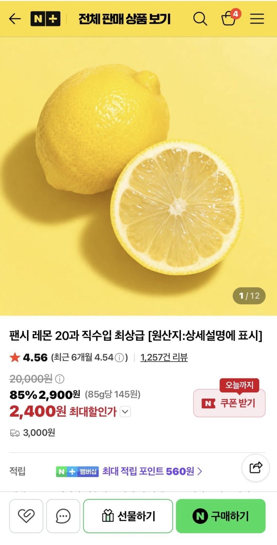 팬시 레몬 20과