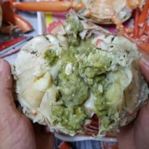 후포항 제철 홍게 5kg 12~15미