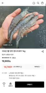 국내산 활 대하 흰다리새우 1kg